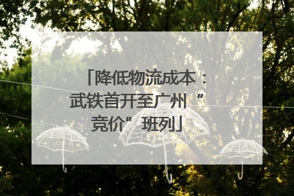 降低物流成本：武铁首开至广州“竞价”班列