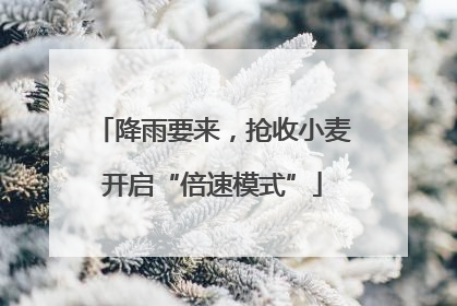 降雨要来，抢收小麦开启“倍速模式”