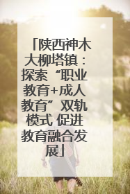 陕西神木大柳塔镇：探索“职业教育+成人教育”双轨模式 促进教育融合发展