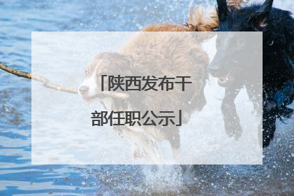 陕西发布干部任职公示