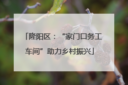 隆阳区：“家门口务工车间”助力乡村振兴