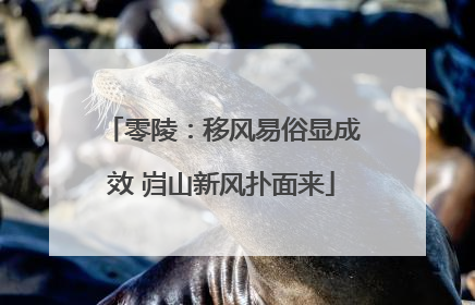 零陵：移风易俗显成效 岿山新风扑面来