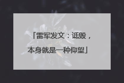 雷军发文：诋毁，本身就是一种仰望