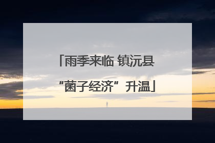 雨季来临 镇沅县“菌子经济”升温