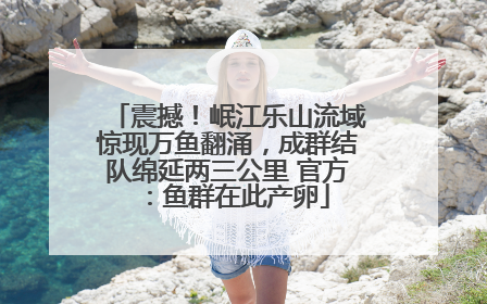 震撼！岷江乐山流域惊现万鱼翻涌，成群结队绵延两三公里 官方：鱼群在此产卵