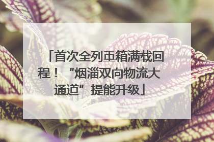 首次全列重箱满载回程！“烟淄双向物流大通道”提能升级