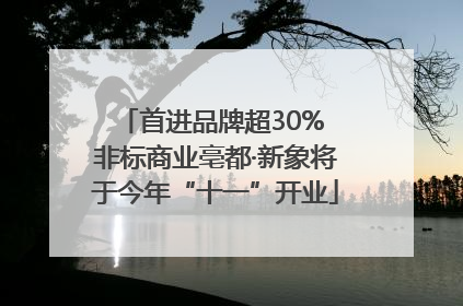 首进品牌超30% 非标商业亳都·新象将于今年“十一”开业
