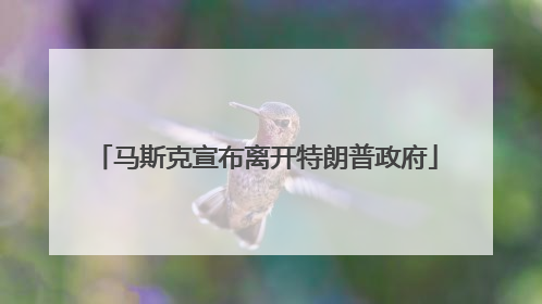 马斯克宣布离开特朗普政府