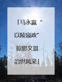 马永嬴“以陵窥政” 掠影文景治世风采