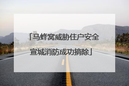 马蜂窝威胁住户安全 宣城消防成功摘除