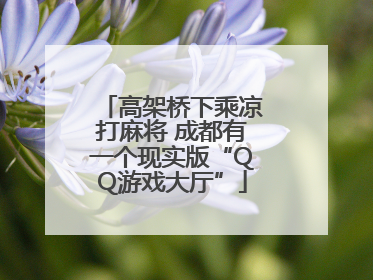 高架桥下乘凉打麻将 成都有一个现实版“QQ游戏大厅”