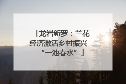 龙岩新罗：兰花经济激活乡村振兴“一池春水”