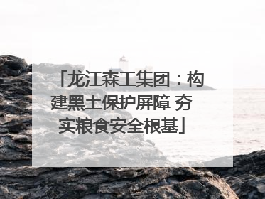 龙江森工集团：构建黑土保护屏障 夯实粮食安全根基