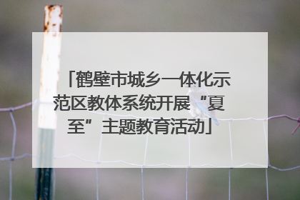 鹤壁市城乡一体化示范区教体系统开展“夏至”主题教育活动