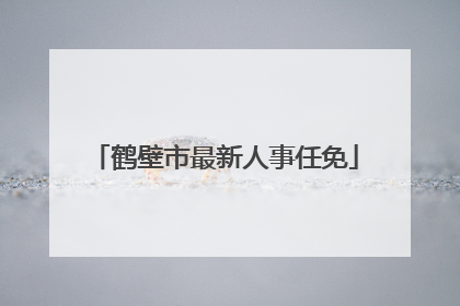 鹤壁市最新人事任免