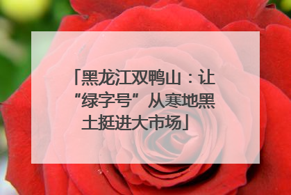 黑龙江双鸭山：让“绿字号”从寒地黑土挺进大市场