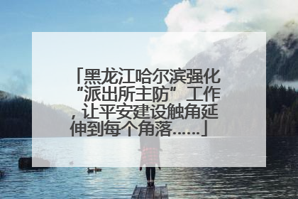 黑龙江哈尔滨强化“派出所主防”工作，让平安建设触角延伸到每个角落……