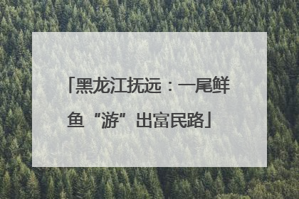 黑龙江抚远：一尾鲜鱼“游”出富民路