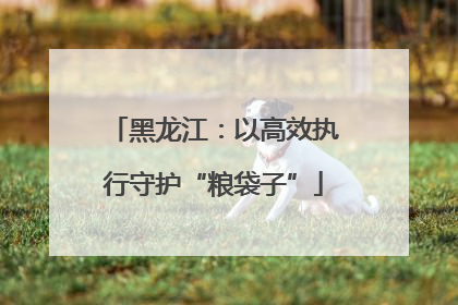 黑龙江：以高效执行守护“粮袋子”