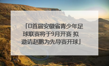 ﻿首届安徽省青少年足球联赛将于9月开赛 拟邀请赵鹏为先导赛开球
