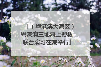 （粤港澳大湾区）粤港澳三地海上搜救联合演习在港举行