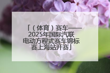 （体育）赛车——2025年国际汽联电动方程式赛车锦标赛上海站开赛