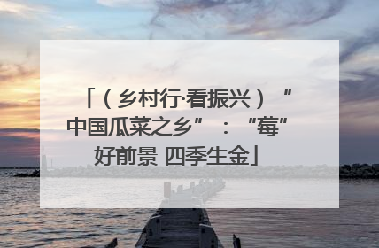 （乡村行·看振兴）“中国瓜菜之乡”：“莓”好前景 四季生金