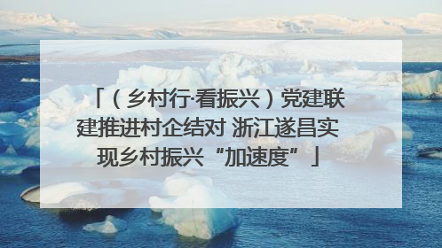 （乡村行·看振兴）党建联建推进村企结对 浙江遂昌实现乡村振兴“加速度”