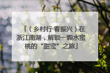 （乡村行·看振兴）在浙江南湖，解锁一颗水蜜桃的“甜蜜”之旅