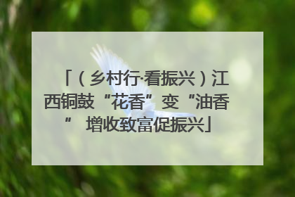 （乡村行·看振兴）江西铜鼓“花香”变“油香” 增收致富促振兴
