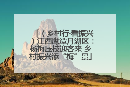 （乡村行·看振兴）江西鹰潭月湖区：杨梅压枝迎客来 乡村振兴添“梅”景