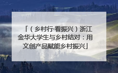 （乡村行·看振兴）浙江金华大学生与乡村结对：用文创产品赋能乡村振兴