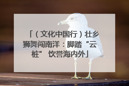 （文化中国行）壮乡狮舞闯南洋：脚踏“云桩” 饮誉海内外
