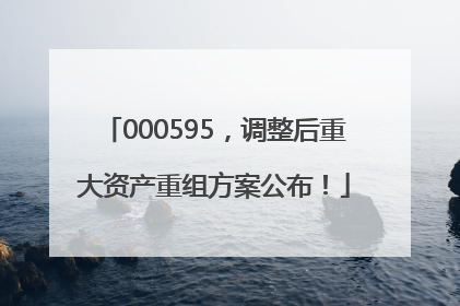 000595，调整后重大资产重组方案公布！