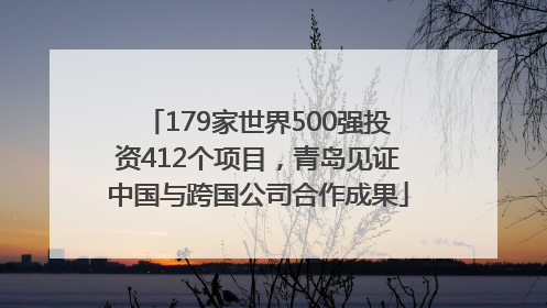 179家世界500强投资412个项目，青岛见证中国与跨国公司合作成果