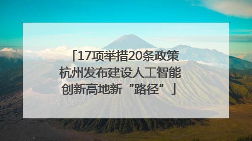 17项举措20条政策 杭州发布建设人工智能创新高地新“路径”
