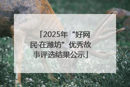2025年“好网民·在潍坊”优秀故事评选结果公示