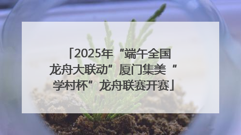 2025年“端午全国龙舟大联动”厦门集美“学村杯”龙舟联赛开赛