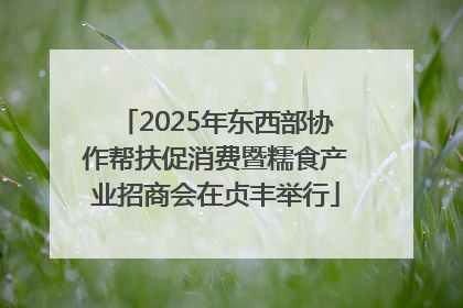 2025年东西部协作帮扶促消费暨糯食产业招商会在贞丰举行