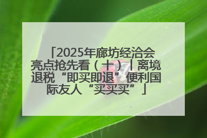 2025年廊坊经洽会亮点抢先看（十）丨离境退税“即买即退”便利国际友人“买买买”