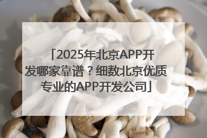 2025年北京APP开发哪家靠谱？细数北京优质专业的APP开发公司