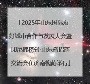 2025年山东国际友好城市合作与发展大会暨印尼楠榜省·山东省招商交流会在济南槐荫举行