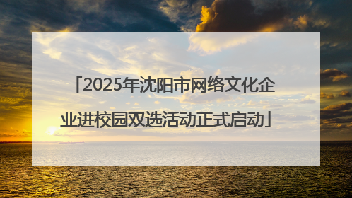 2025年沈阳市网络文化企业进校园双选活动正式启动