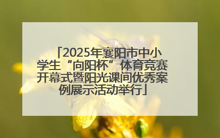2025年襄阳市中小学生“向阳杯”体育竞赛开幕式暨阳光课间优秀案例展示活动举行