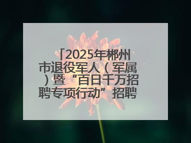 2025年郴州市退役军人（军属）暨“百日千万招聘专项行动”招聘会举办