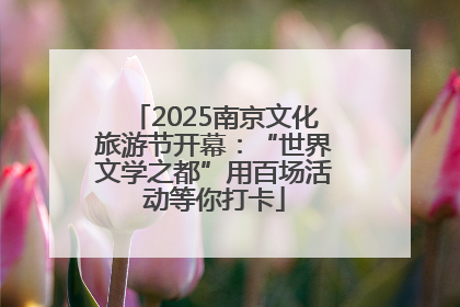 2025南京文化旅游节开幕：“世界文学之都”用百场活动等你打卡