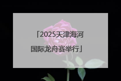 2025天津海河国际龙舟赛举行
