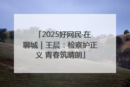2025好网民·在聊城｜王晨：检察护正义 青春筑晴朗