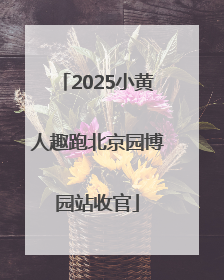 2025小黄人趣跑北京园博园站收官