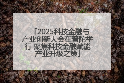 2025科技金融与产业创新大会在普陀举行 聚焦科技金融赋能产业升级之策